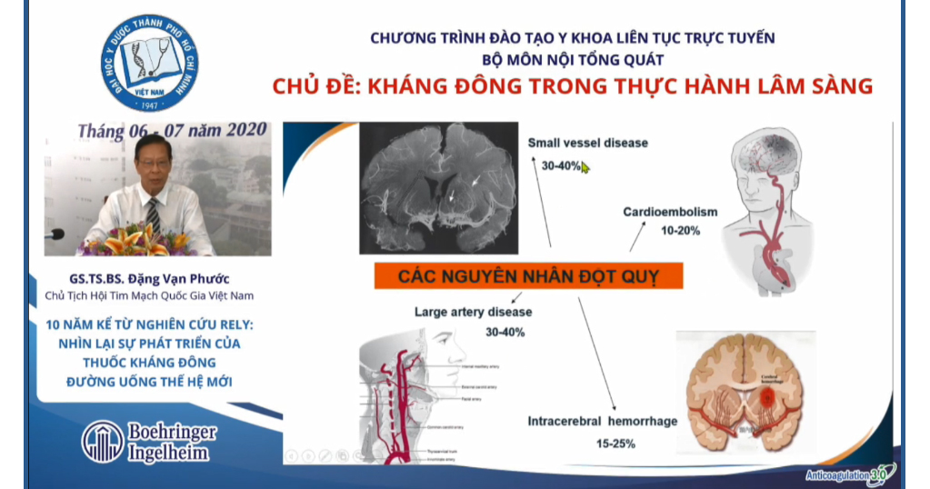 /vn/cardiovascular/dabigatran-etexilate/ly-do-chon-dabigatran/phong-ngua-dot-quy-tren-benh-nhan-rung-nhi/10-nam-ke-tu-nghien-cuu-rely-nhin-lai-su-phat