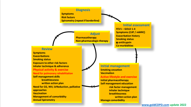 /vn/respiratory/tiotropium-olodaterol/event-slide-deck/prof-thierry-troosters-rrx-feb22-looking-beyond-fev1-your-copd-patients