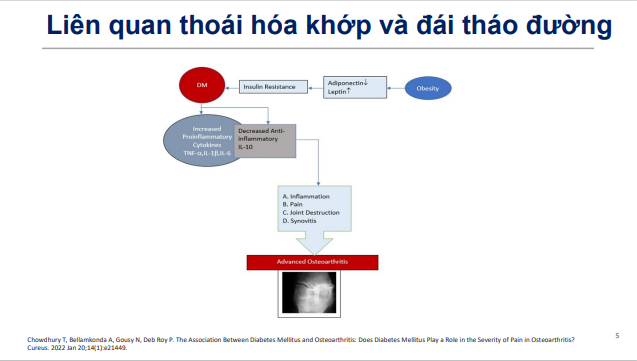 /vn/co-xuong-khop-than-kinh/meloxicam/hieu-qua-va-tinh-toan/vn-slide-deckbenh-nhan-co-xuong-khop-kem-dai-thao-duong-dau-la-quan-ly