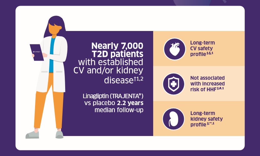 /ph/metabolic/linagliptin/cv-renal-safety/linagliptin-safe-across-t2d-patient-age-groups-including-elderly