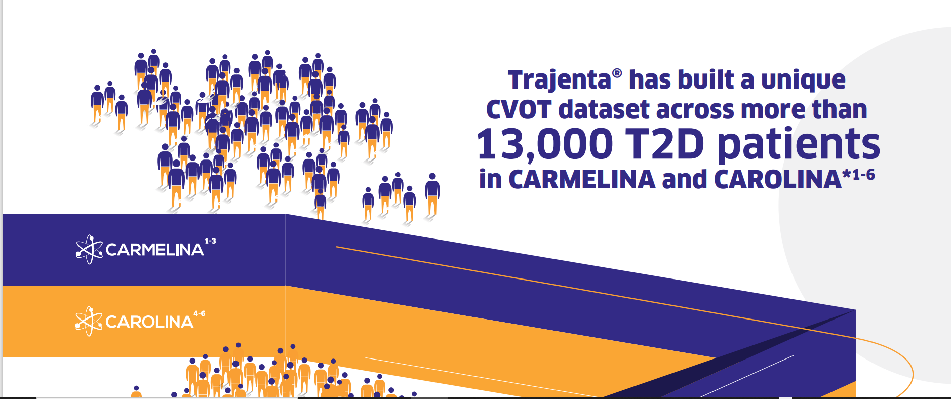 /my/metabolic/linagliptin/carmelina/trajenta-carmelina-carolina-elderly-infographic