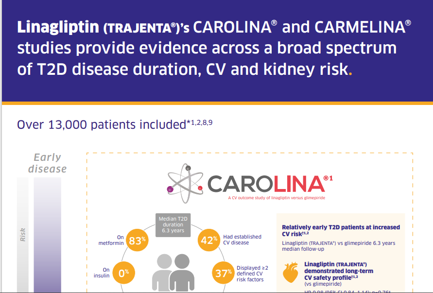 /ph/metabolic/linagliptin/cv-renal-safety/linagliptin-trajenta-demonstrated-good-safety-profile