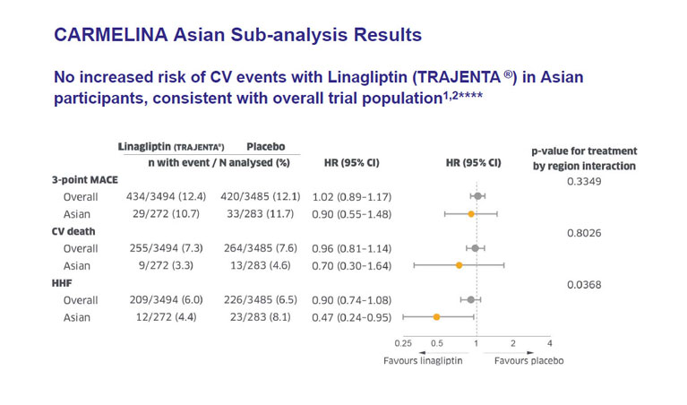 /ph/metabolic/linagliptin/cv-renal-safety/carmelina-asian-subanalysis