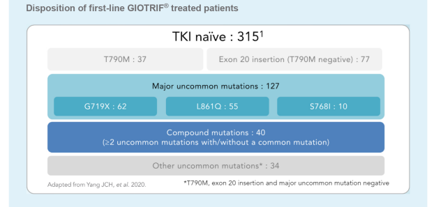 /sg/oncology/giotrif/efficacy/giotrif-treatment-nsclc-harbouring-uncommon-egfr-mutations-published-pooled-analysis-693
