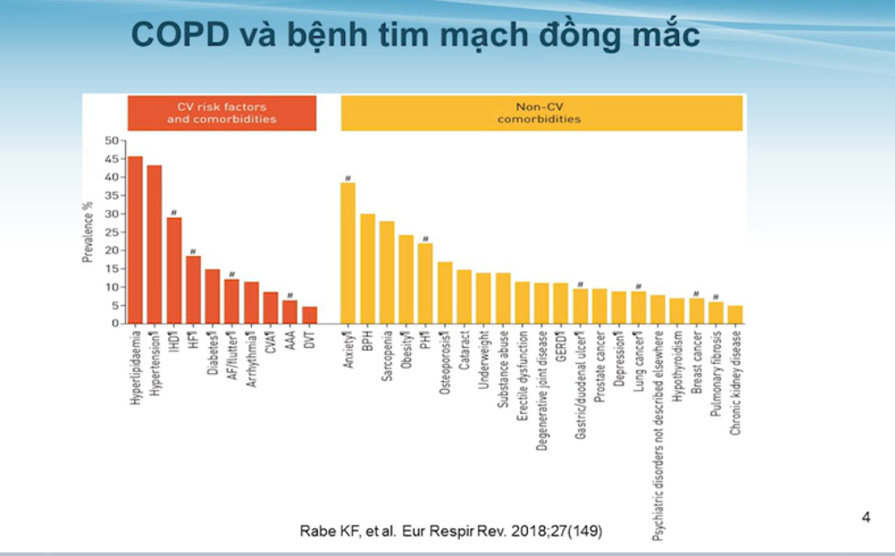 /vn/respiratory/ipratropium-salbutamol/thong-tin-benh-hoc/xu-tri-dot-cap-copd-tren-benh-nhan-co-benh-tim-mach-dong-mac-ts-bs-le-thi-thu-huong