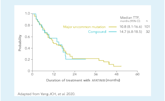 /vn/oncology/afatinib/tinh-hieu-qua/robust-ttf-improvement-and-tumor-response-first-line-giotrif-most-nsclc-patients-uncommon