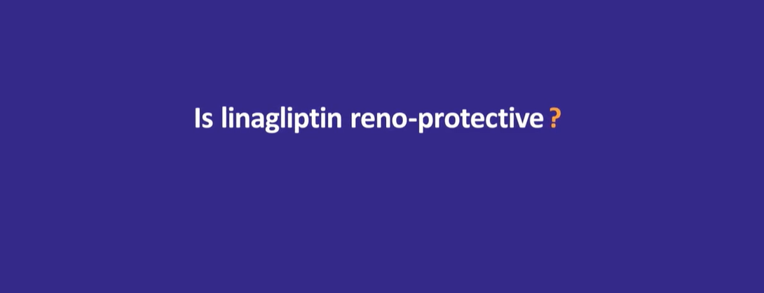 /vn/metabolic/linagliptin/safety/bang-chung-toan-tren-than-cua-linagliptin