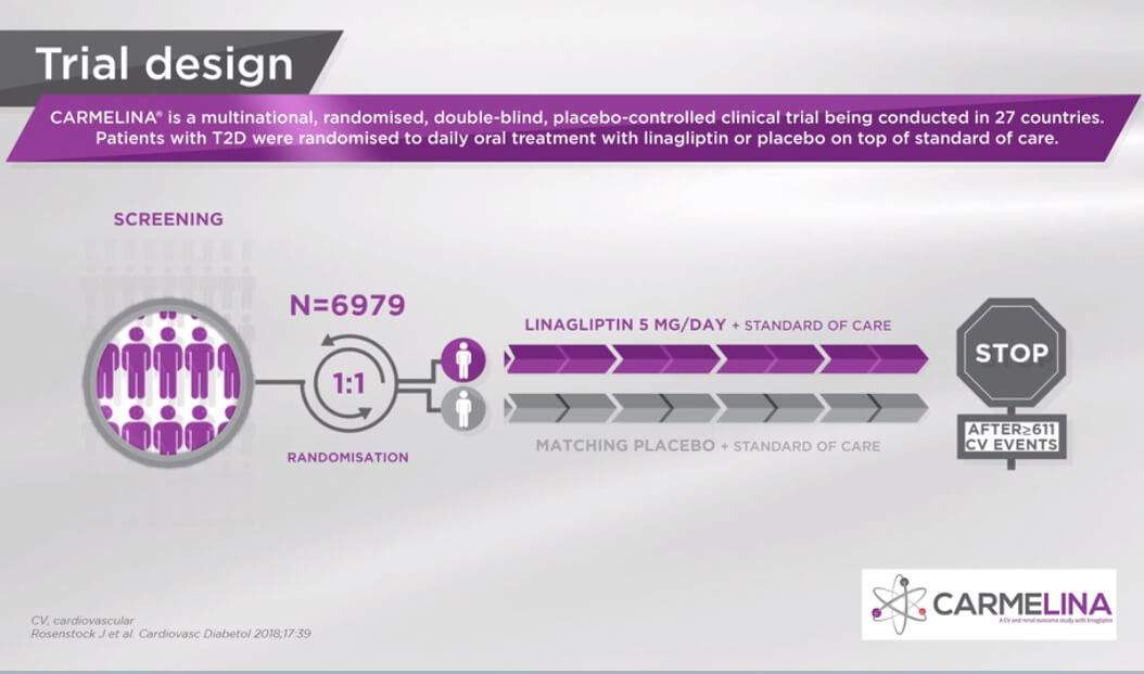 /ph/metabolic/linagliptin/cv-renal-safety/carmelina-cv-and-renal-safety-profile-linagliptin-trajenta