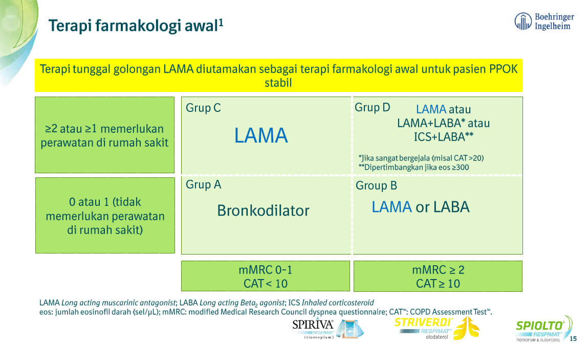 /id/respiratory/spiolto/guideline/informasi-terbaru-gold-2019