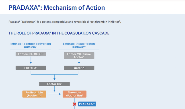 Pradaxa:Mechanism of Action