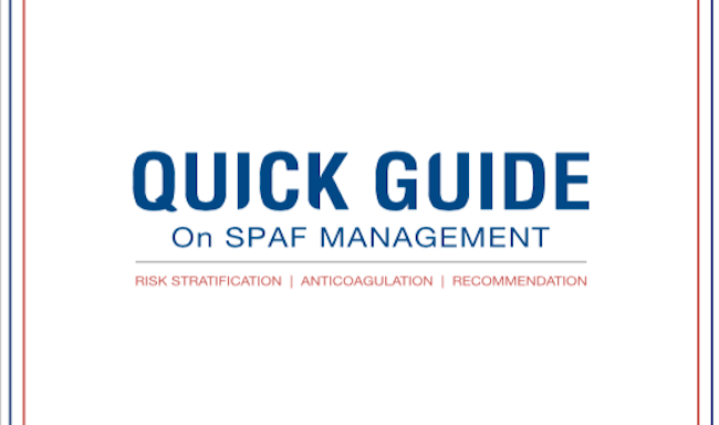 Quick Guide of SPAF 