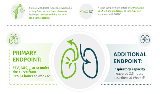 VIVACITO Infographic