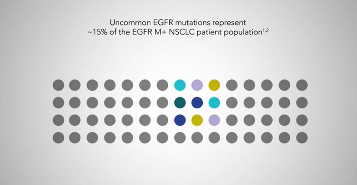 /my/oncology/giotrif/efficacy/video-uncommon-egfr-pooled-analysis-693-patients