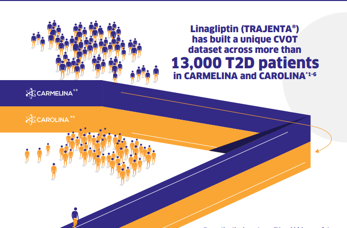 /ph/metabolic/linagliptin/cv-renal-safety/cv-and-kidney-safety-linagliptin-trajenta-asian-patients