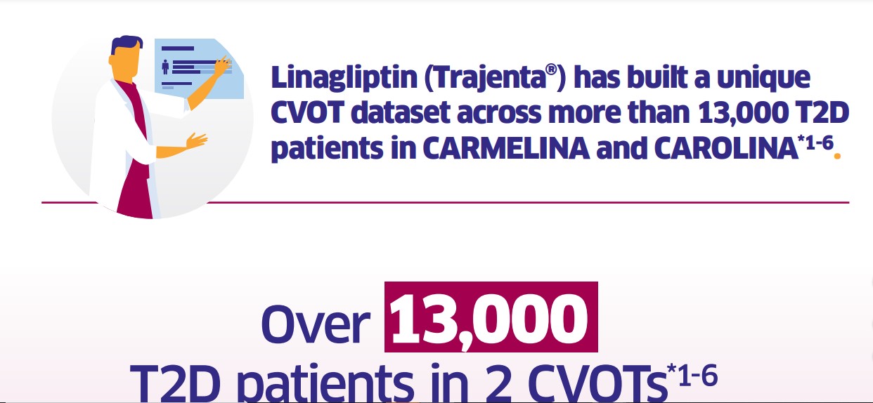 /ph/metabolic/linagliptin/cv-renal-safety/cv-and-kidney-safety-linagliptin-ina-asians-adc