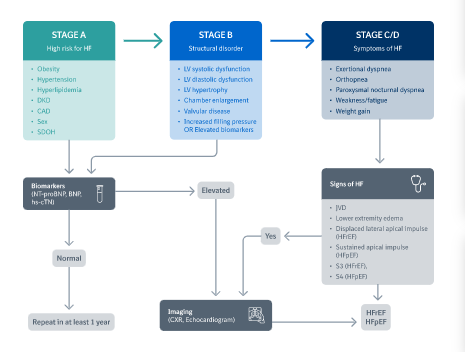 /vn/resources/metabolic/ADA2022-update-session1