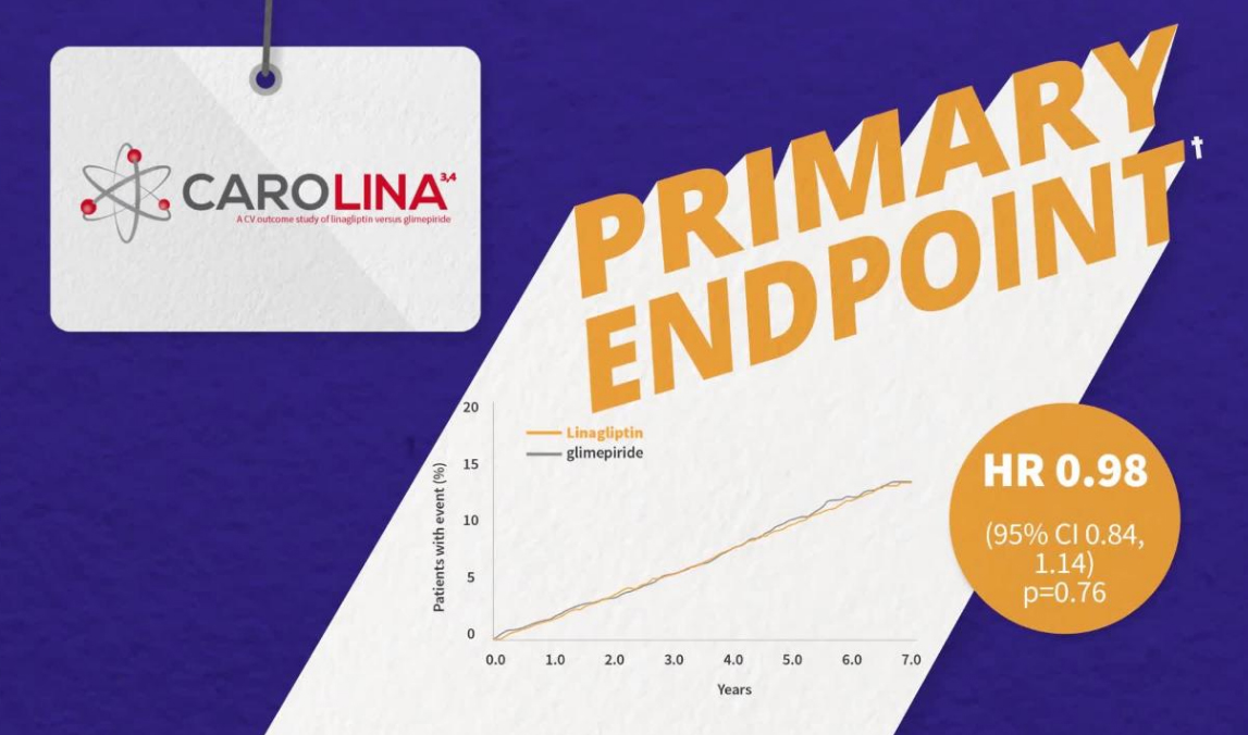 Linagliptin (Trajenta®) in CAROLINA