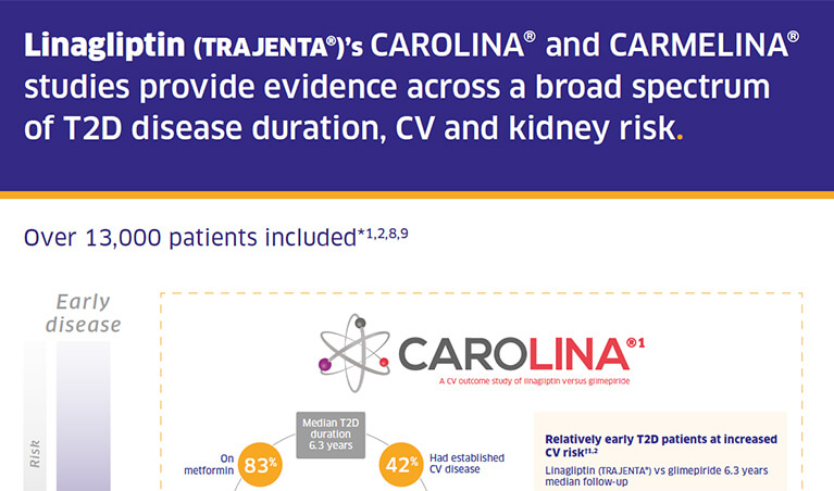 Linagliptin (Trajenta®): Demonstrated good safety profile in patients across the type 2 diabetes continuum based on its CVOTs