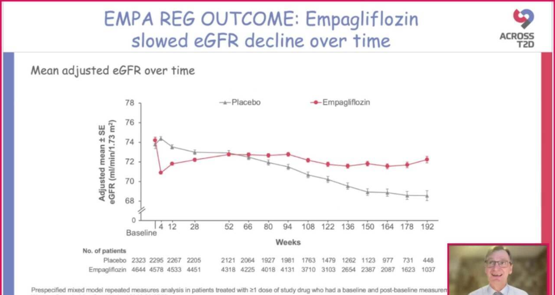 Evolving Evidence in the Role of
                                Empagliflozin in Kidney Diseases