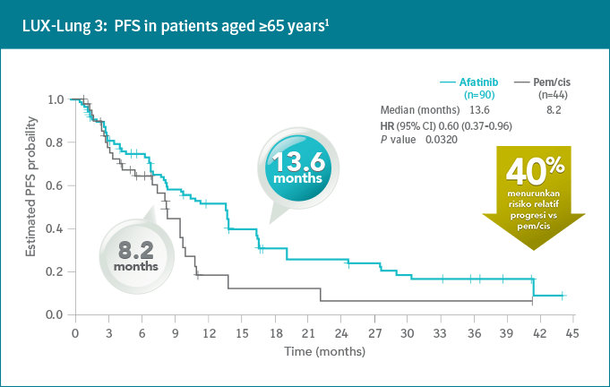 LUX-Lung 3: PFS in patients aged ≥65 years