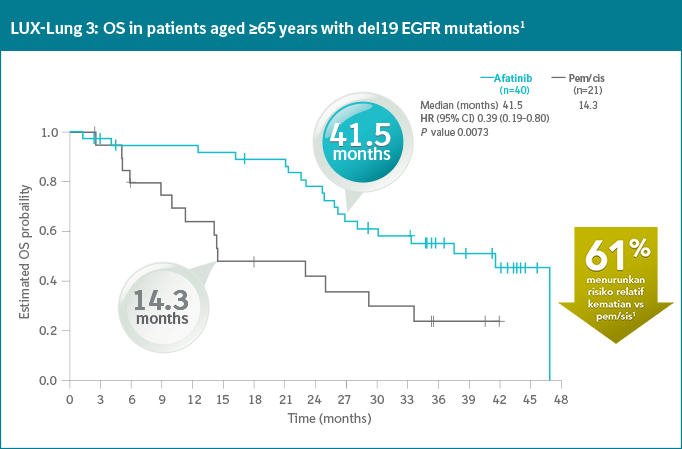 LUX-Lung 3: OS in patients aged ≥65 years with del19 EGFR mutations